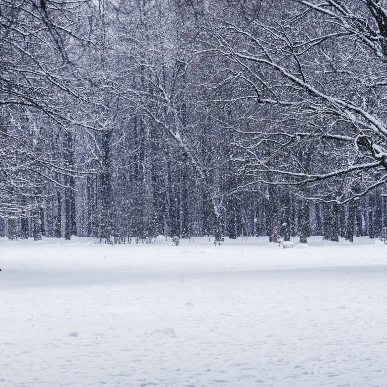 To Care and To Thrive